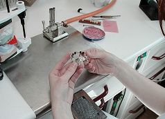 Zahntechnik Lauscha